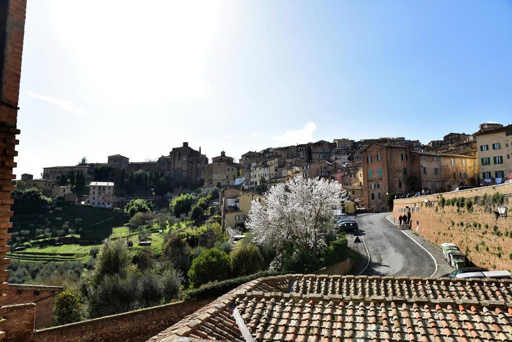 Casa In Contrada Lägenhet Siena Exteriör bild
